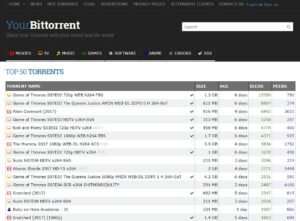 YourBittorrent